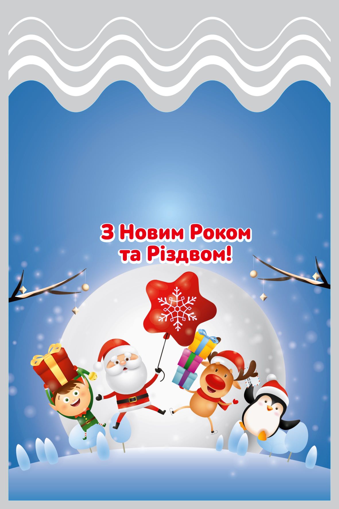 Новорічний пакуночок ZAPODARKOM S-701п, 701г